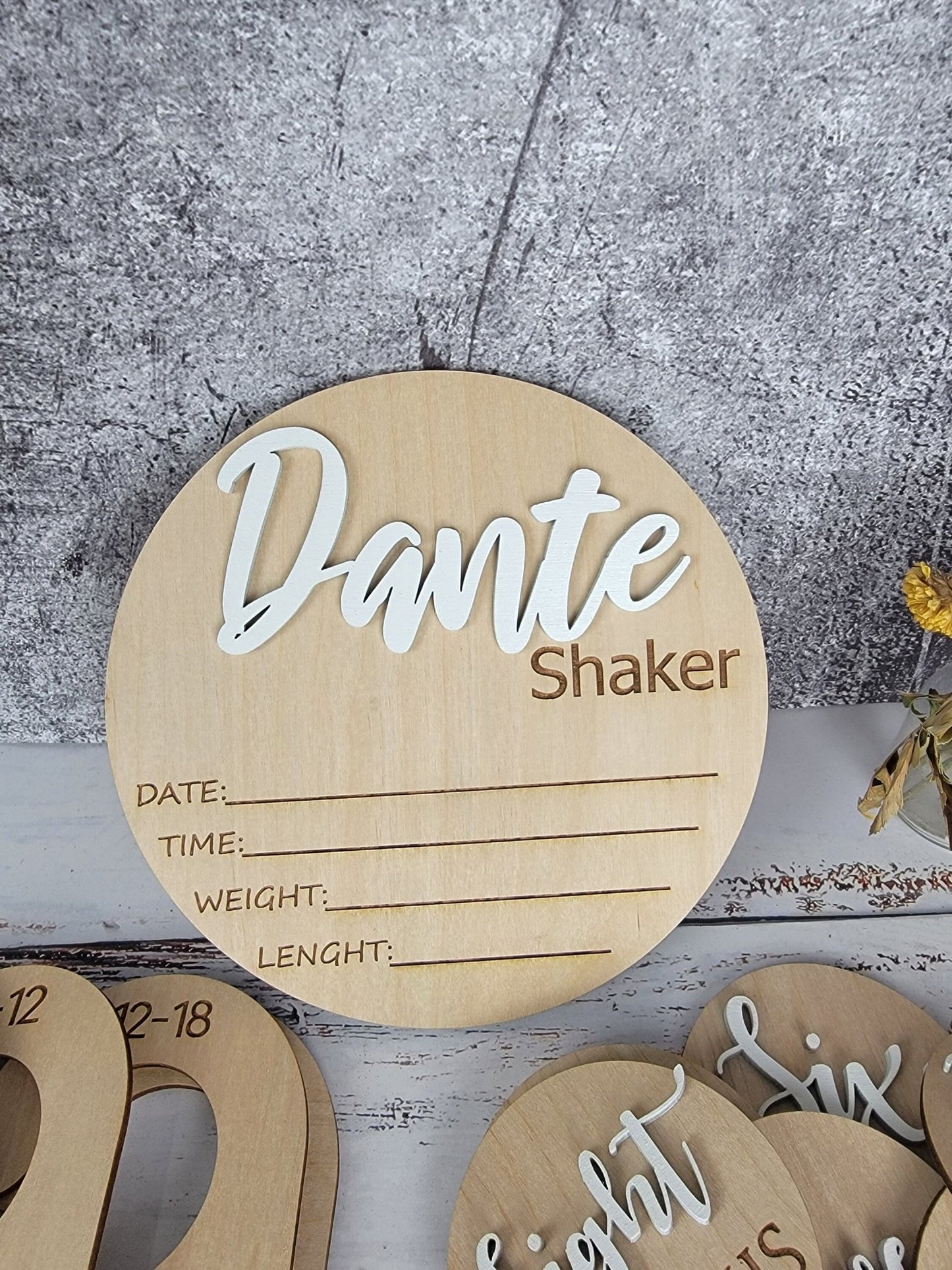Baby Announcement Sign With Birth Stats| Baby Hospital Photo sign | Name Reveal and Birth Stats. Sign For Birth Announcement| Personalized - EverLee Creations