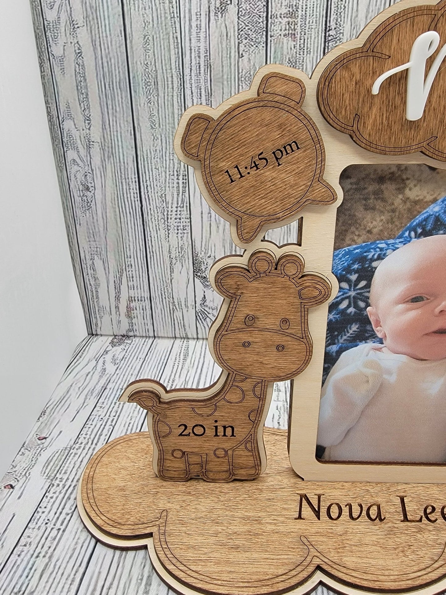 Birth Announcement Frame - EverLee Creations
