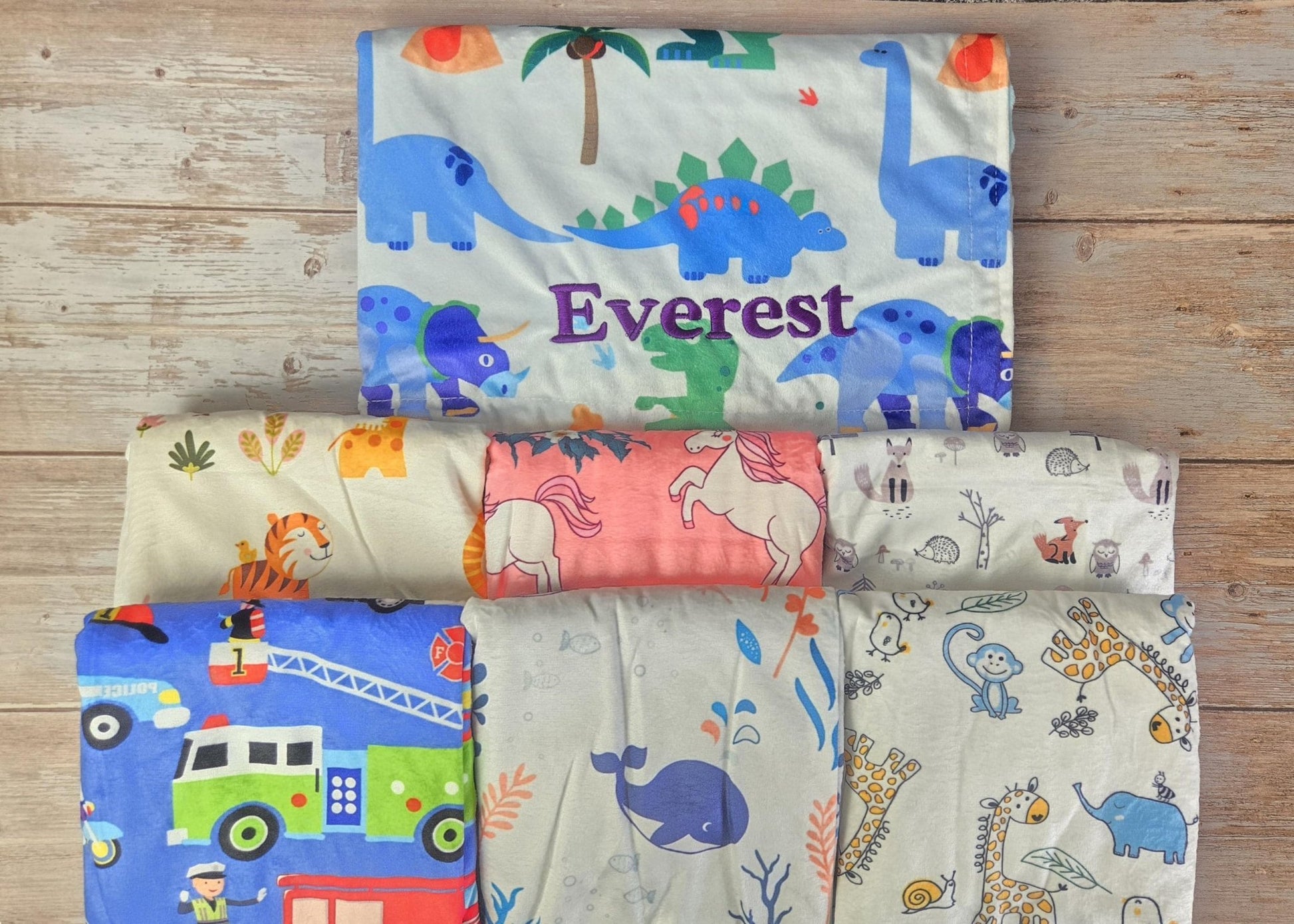 Personalized Baby/Toddler Blanket - EverLee Creations